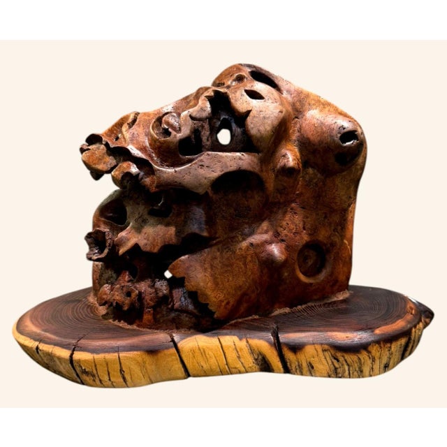 Vintage Burl Root Wood Abstract Sculpture Live Edge Base Organic Modern 17" For Sale In Dallas - Image 6 of 15