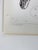 Rustic Mid 19th Century Us Pacifc Railroad Salamander Lithograph Book Plate For Sale - Image 3 of 4