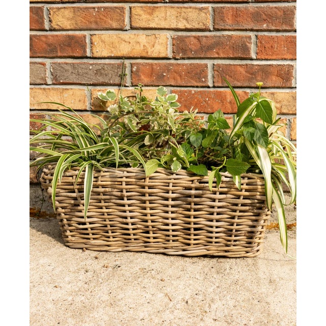 Tan Artifacts Rattan Rectangular Planter with Black Plastic Insert, Natural, 20"X8" For Sale - Image 8 of 9