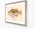 Atelier Aria Lumae Albert Baldwin 1903 Hawaiian Fish Natural History Gallery Board Set For Sale - Image 4 of 12