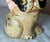 Figurative Antique Original Grace Drayton Cast Iron Hubley Dog Bee Coin Still Bank 1900s For Sale - Image 3 of 13