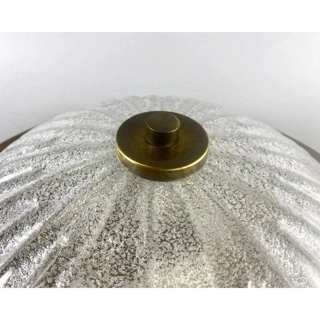 Large Vintage Ceiling Flush Mount by Fisher Leuchten, Germany For Sale - Image 4 of 10