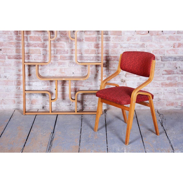 Brown Mid-Century Czech Chairs in Maple attributed to Ludvik Volak for Drevopodnik Holesov, 1960s, Set of 6 For Sale - Image 8 of 18
