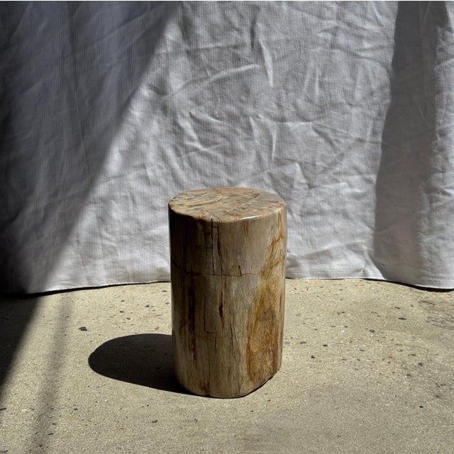 Small Side Table in Petrified Wood, 1980s For Sale - Image 12 of 18