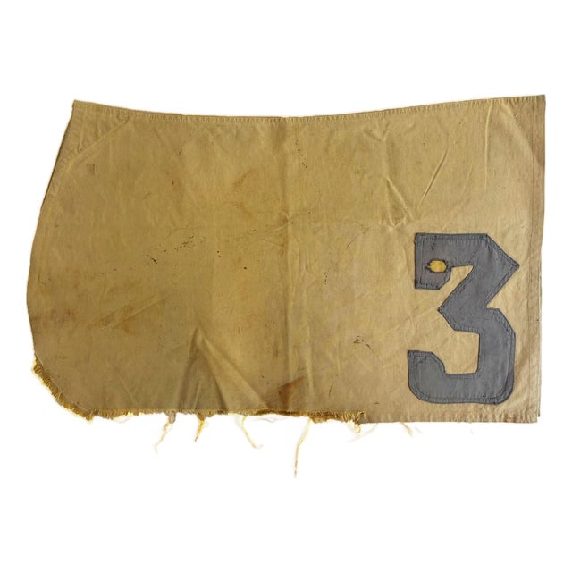 1900s Antique Racehorse Saddle Cloth For Sale