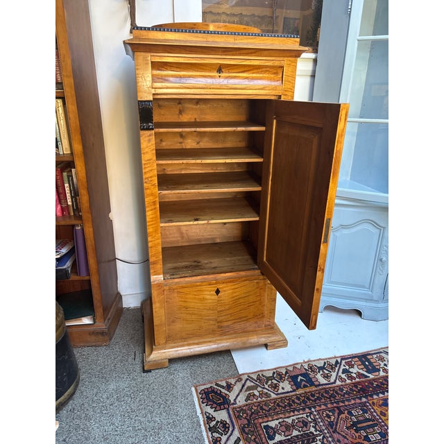 Mid 19th Century Biedermeier Style Tall Cabinet For Sale - Image 4 of 15