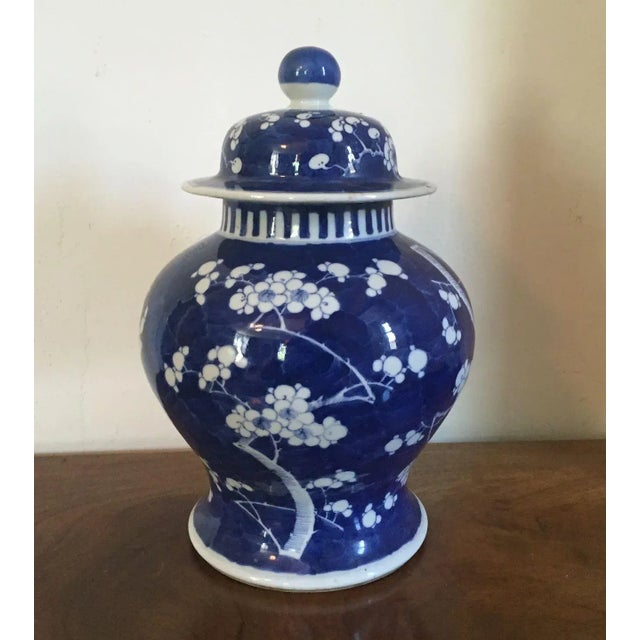 Blue 19th Century Chinese Blue & White Porcelain Prunus or Hawthorne Urn For Sale - Image 8 of 11