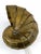 Mid-Century Modern Brass Sconce from Natilius, Germany, 1960s For Sale - Image 13 of 18