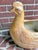 Rustic Midcentury Folk Art Terracotta Fiberglass Chicken Hen Planter Pot For Sale - Image 3 of 12