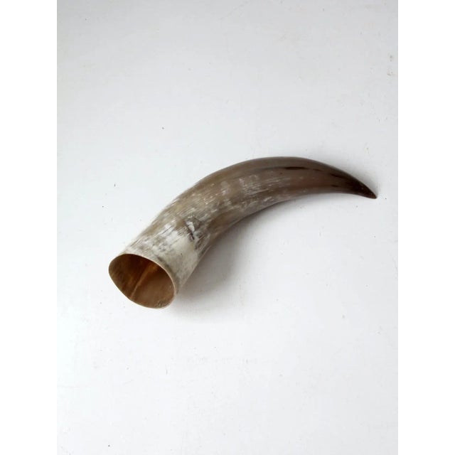 A striking vintage polished horn, distinguished by its impressive scale and beautifully varied natural coloring. The...