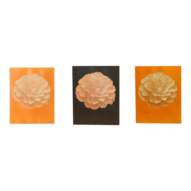 Jonathan Singer, Set of 3 Dahlia, Photographs For Sale