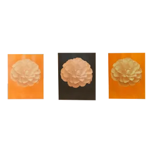 Jonathan Singer, Set of 3 Dahlia, Photographs