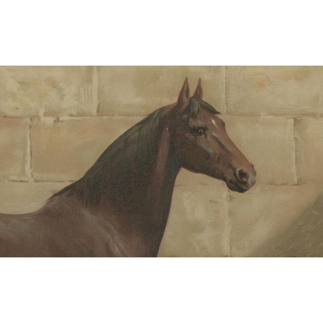 After Eerelman, East Prussian Trakehner Horse Portrait, 1898, Lithograph For Sale - Image 4 of 10