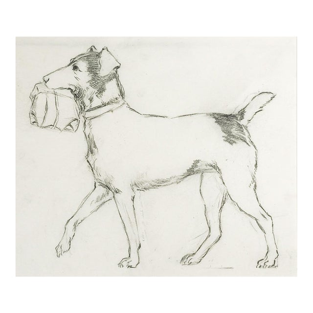 Vintage Drawing of Dog Carrying Package For Sale