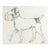 Vintage Drawing of Dog Carrying Package For Sale