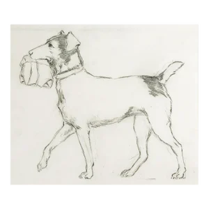 Vintage Drawing of Dog Carrying Package