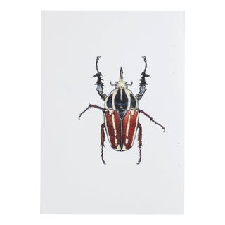 Juris Utans, White-Red Beetle, 2021, Mixed Media on Paper For Sale