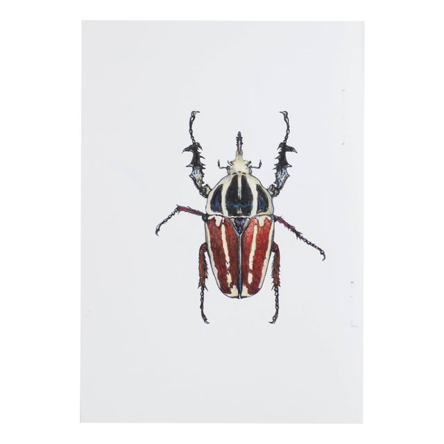 Juris Utans, White-Red Beetle, 2021, Mixed Media on Paper For Sale