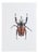 Juris Utans, White-Red Beetle, 2021, Mixed Media on Paper For Sale