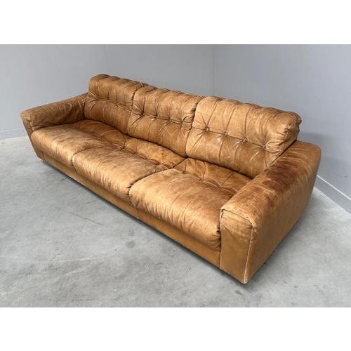 Tan Vintage DS40 Sofa by Robert Haussmann for de Sede, 1970s For Sale - Image 8 of 16