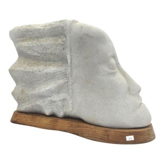 Fiberglass Wall-Mounted Face Sculpture For Sale