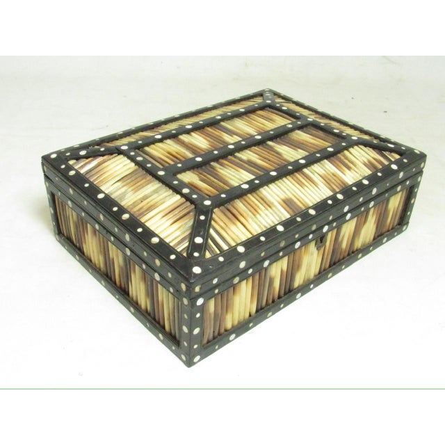 1900 - 1909 Antique Anglo Indian Porcupine Quill Box For Sale - Image 5 of 12