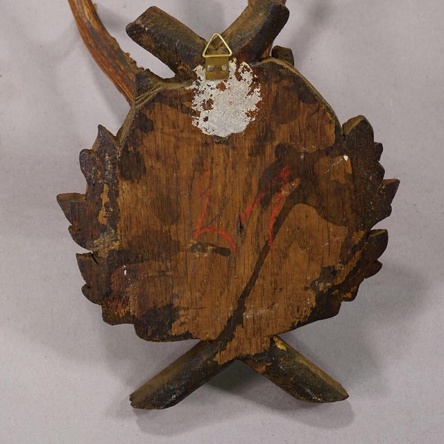 Rustic European Antique Red Deer Trophy on Carved Plaque, Black Forest, Germany 1900 For Sale - Image 3 of 4