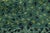 Green Mid-Century Scandinavian Rug Rya Pile Rug "Alvastra Green" By Marianne Richter For Sale - Image 8 of 8