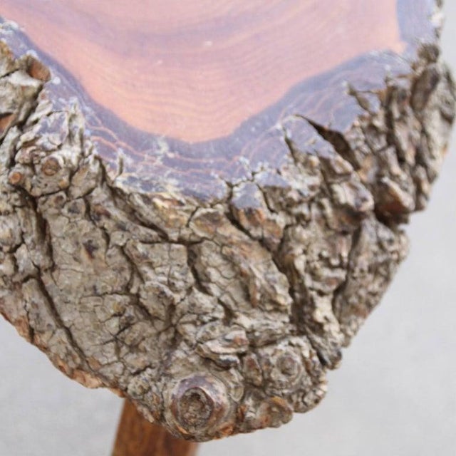 Set of Live Edge Side Tables For Sale - Image 10 of 11