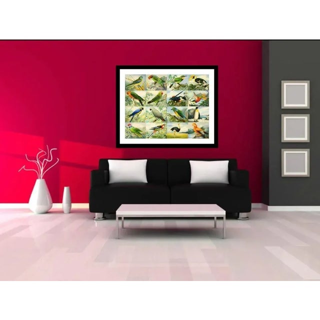 This is a beautiful vintage museum-quality print of an original Victorian label sheet from the early 1900s. It's printed...