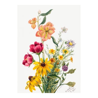 Vintage Wildflowers Study, Botanical Art Print Reproduction, 20" X 30" For Sale