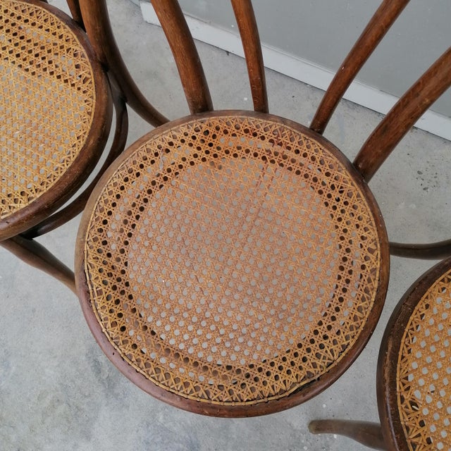Model No. 18 Chairs from Gebrüder Thonet and Wackerlin & C., 1980s, Set of 7 For Sale - Image 14 of 18