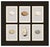 A collection of six Victorian natural history bookplates depicting the beautifully varied eggs of British birds,...