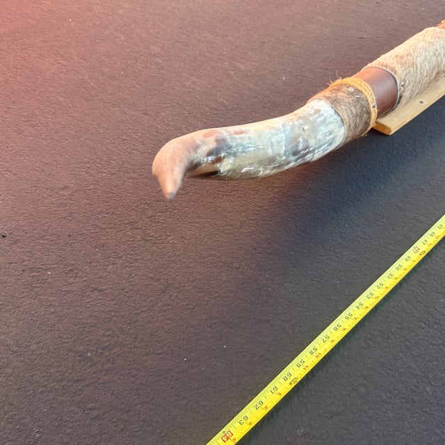 1980s Mounted Cow Horns For Sale In San Diego - Image 6 of 11