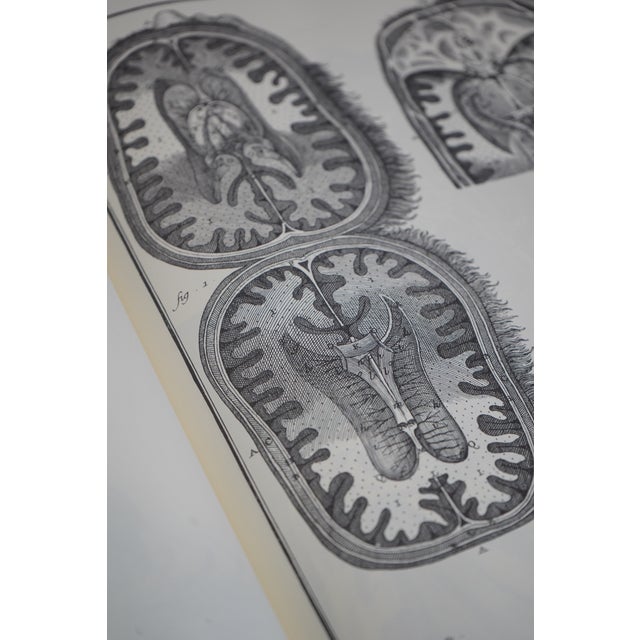 Diderot & D’ALEMBERT Set of Italian Leather Bound Encyclopedia For Sale - Image 14 of 18