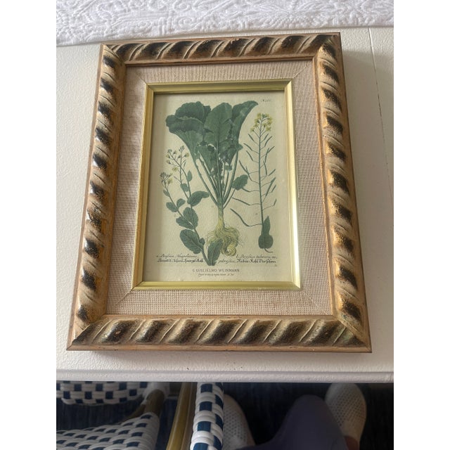 1940s Set of Small Botanical Prints in Gold Frame For Sale - Image 4 of 8