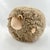 Beyond its irresistibly cuddly charm! This beige plush sheep adds a touch of whimsy to any space—perfect for a nursery, a...