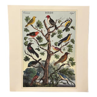Birds (Oiseaux) Poster For Sale