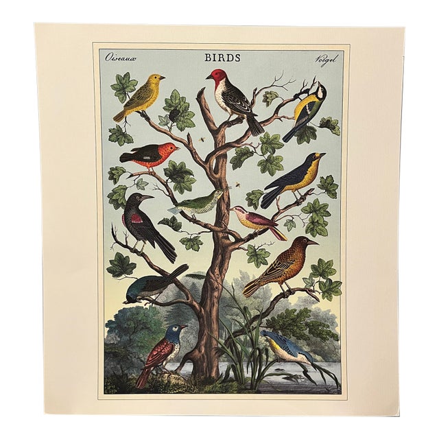 Birds (Oiseaux) Poster For Sale