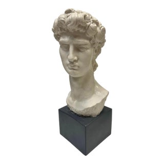 Vintage Bust of David Sculpture For Sale