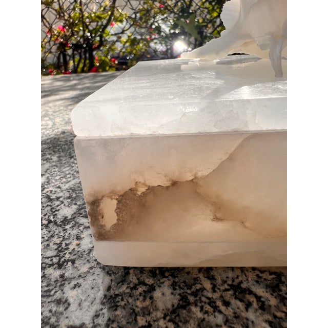 Lovely White Onyx Box with fancy white Murex atop. A wonderful piece for a coffee table or on a vanity. The onyx has...