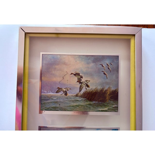 1970s Vintage David A. Maass Wilderness Wings Wildlife Foil-Etch Prints, Framed Set of 4 For Sale - Image 5 of 14