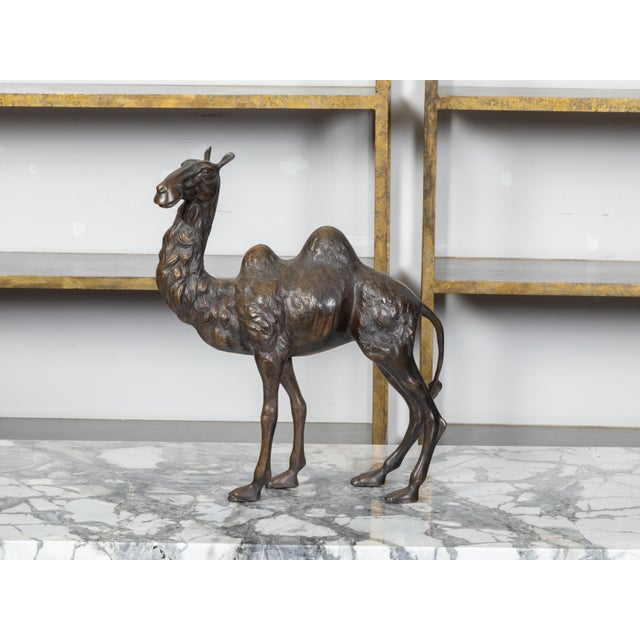 French French Turn of the Century Cast Bronze Camel Statuette with Dark Patina, 1900s For Sale - Image 3 of 10