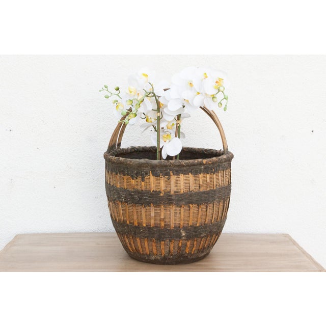 Discover the honest beauty of enduring hand-craftsmanship with this magnificent large antique woven basket, complete with...