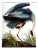 Audubon 7, Unframed Artwork For Sale