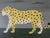 Contemporary 'Golden Leopard' Original Naïve Style Animal Oil Painting by British Artist Matt Rix, Framed For Sale - Image 11 of 12