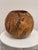 Sculptural Burl Wood Vessel Bowl For Sale - Image 4 of 12