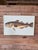 Vintage Coastal Folk Art Fish Painting – Atlantic Cod For Sale - Image 11 of 12