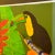 1960s Vintage Original Tropics Print by Y. Hughs of Toucans With Illustrated Matt & Orange Frame For Sale - Image 5 of 12