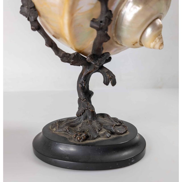 Brown 19th Century Continental European French or German Bronze With Turbo Shell, Kunstkammer Object For Sale - Image 8 of 14